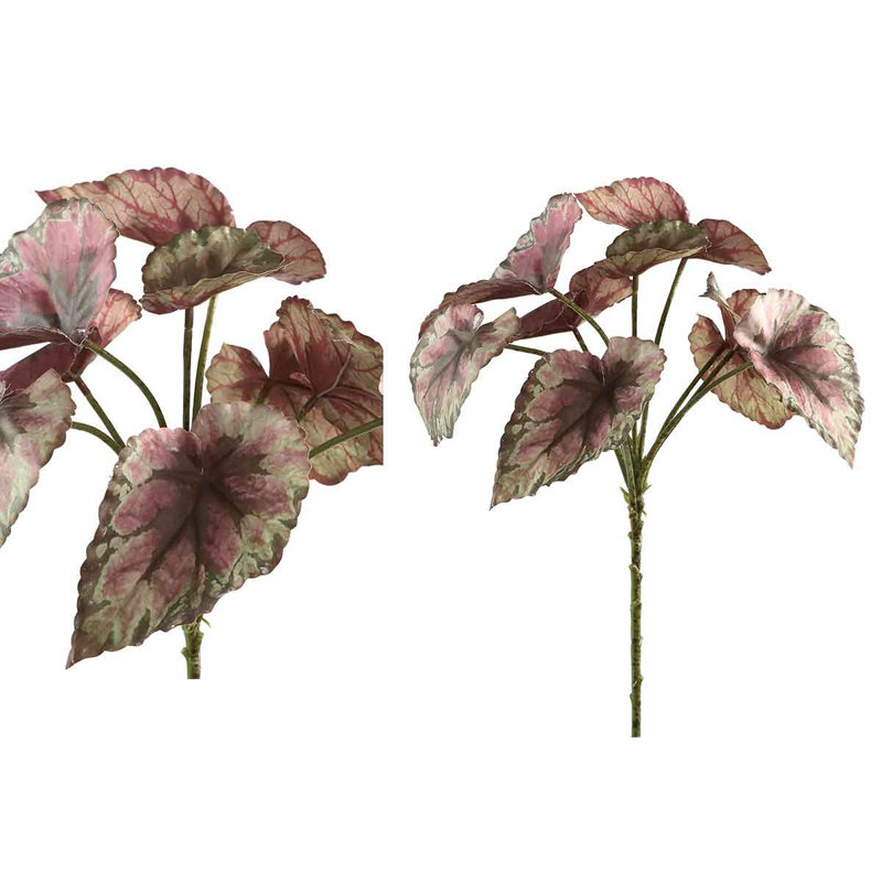 Leaves 33cm Plant