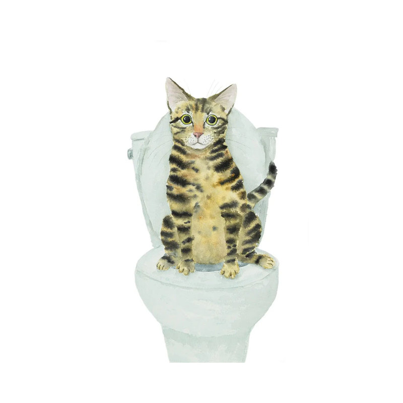 Tabby Cat Toilet Time by Alexey Dmitrievich Shmyrov - Wrapped Canvas Painting, 30.48 cm H x 45.72 cm W