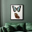 Papillons bleus antiques IV, toile encadrée de qualité supérieure - prête à être accrochée-1977291137-1977291140