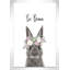 Le lapin est courage-48187577-48187580