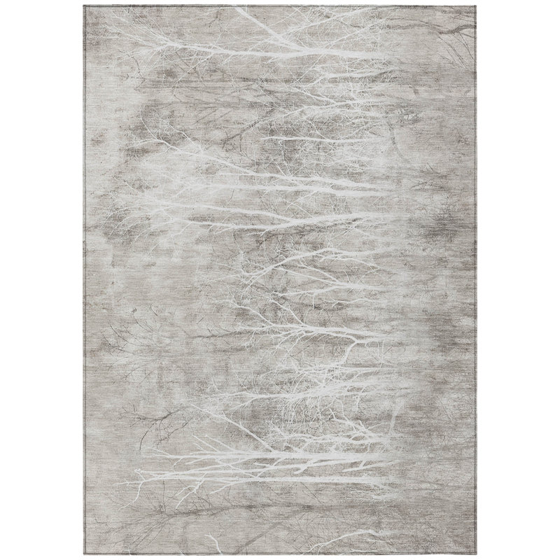 Machine Washable Indoor/Outdoor Xhevrie Silver Rug, Rectangle 3' x 5'