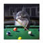 Modern & Contemporary Painting Print-2106435189