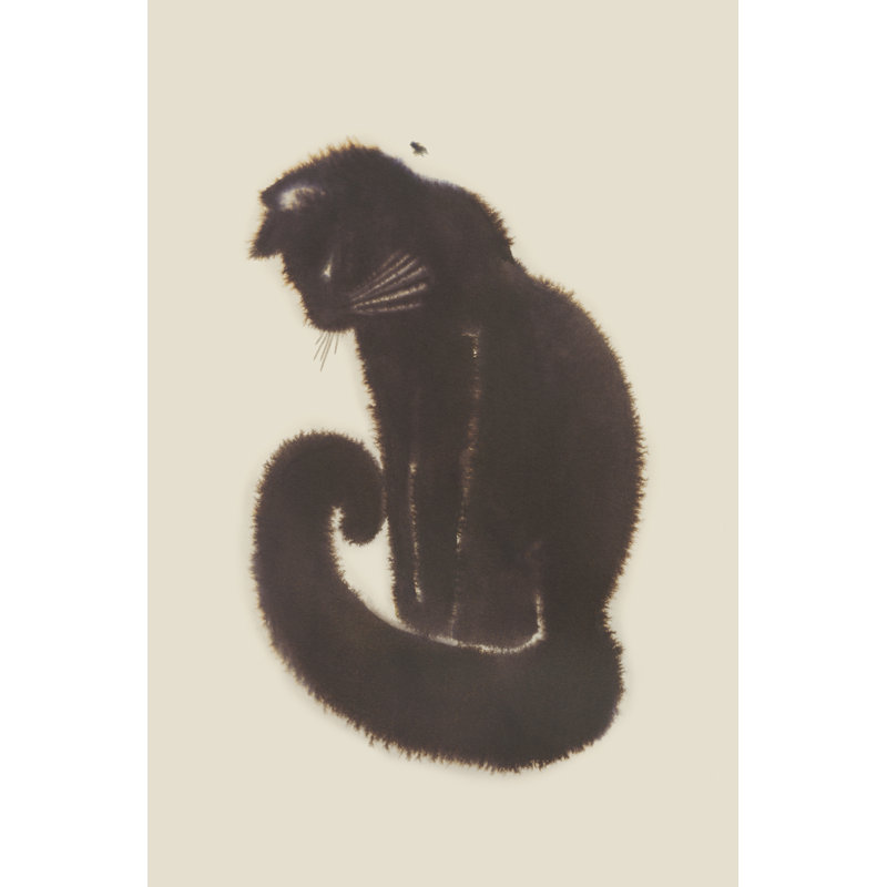 Black Cat Dream II by Grace Popp - Wrapped Canvas Print, 46 cm H x 30 cm W