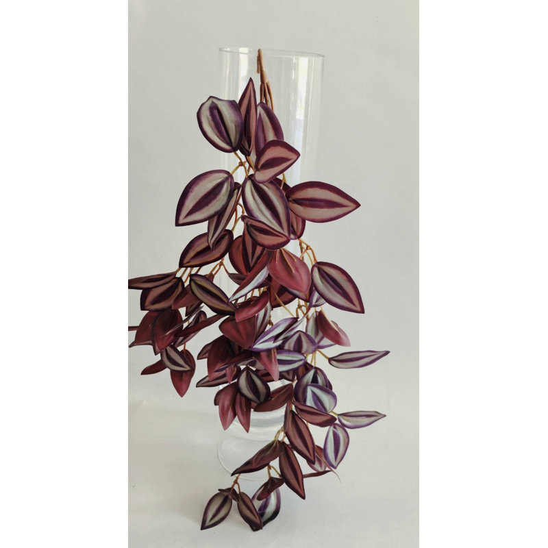 BOUQUET DE ZEBRINA 25''