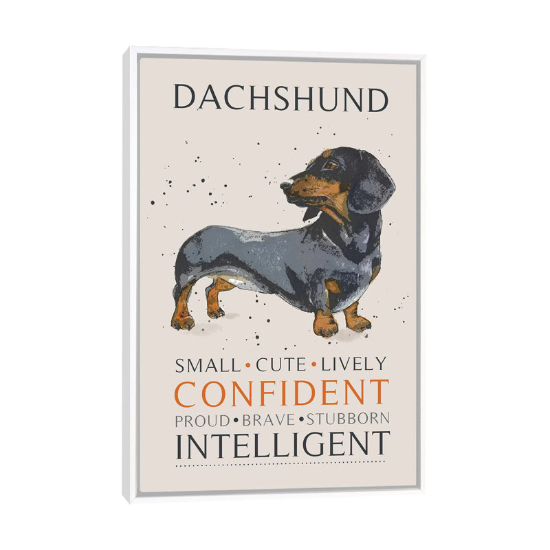 Dachshund 1 Piece Wall Art on Canvas, 66.04 cm H x 45.72 cm W, White Framed
