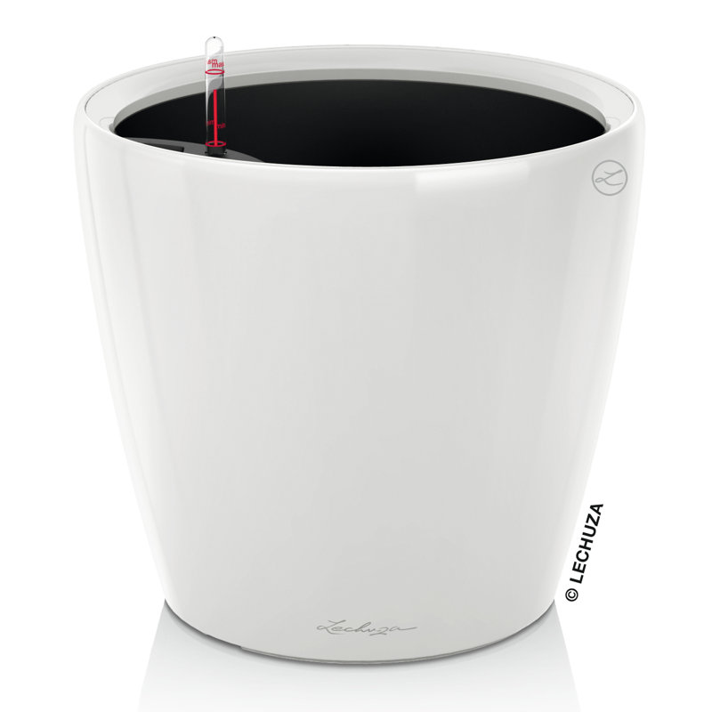 Classico Pot Planter, Cream White