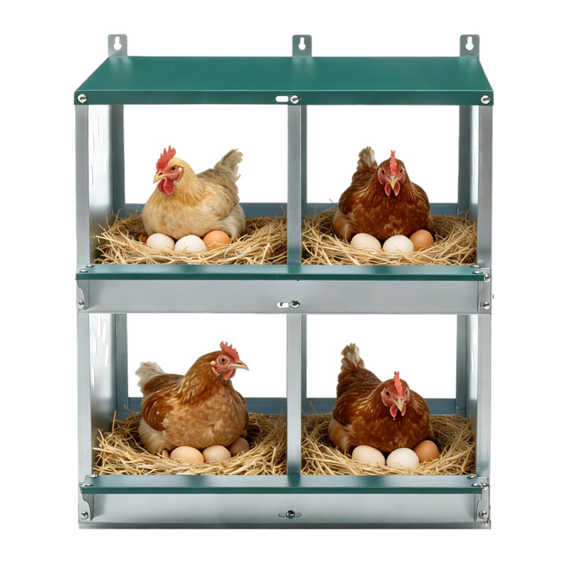 4 boîtes de nids de poules Holel, boîtes de nidification en métal pour poules pondeuses, 4 trous vert
