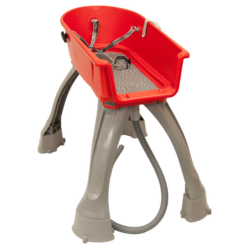 Booster 10'' H x 16.75'' W x 33'' D Plastic Dog Grooming Tub, Red