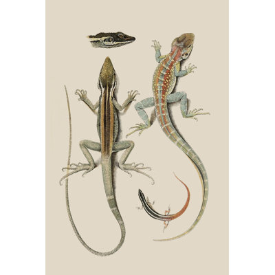 Antique Lizards II - Painting