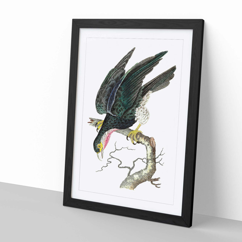 Blue Falcon by George Shaw - Picture Frame Painting, 60cm H x 40cm W x 2cm D, Black