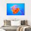 Somersault Brampt Jellyfish-107707519