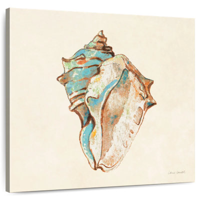 Coquillage bleu sarcelle Aletra II