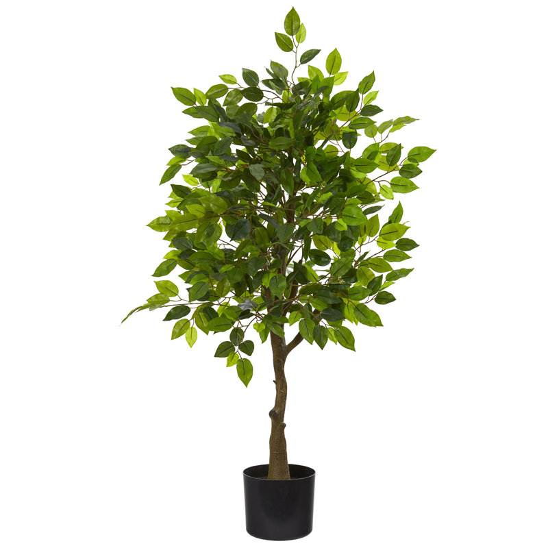 Ficus Artificial Tree