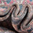 Hadsell Chenille Indoor Rug-401139096