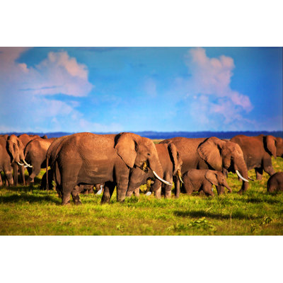 Golconda Elephants Herd On Savanna - Wrapped Canvas Print