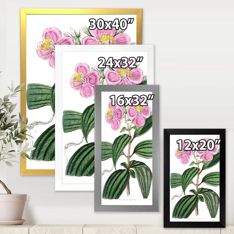 «Vintage Plant Life XXIII», peinture sur toile, Cadre photo argenté, H 32 po x l 16 po x P 1 po