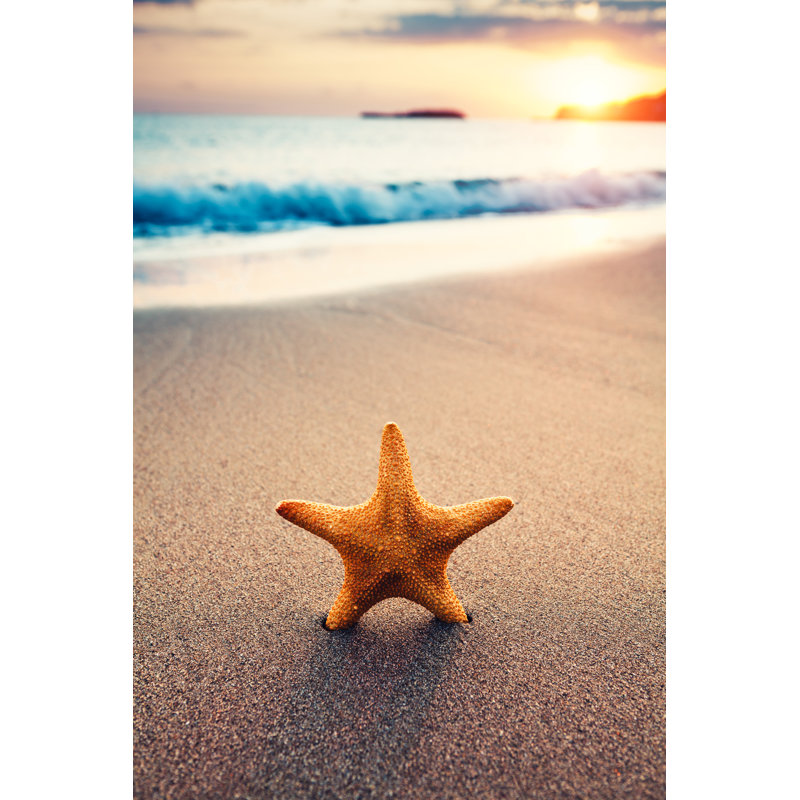 Starfish On Beach by Borchee - No Frame Art Prints on Canvas, 76cm H x 51cm W