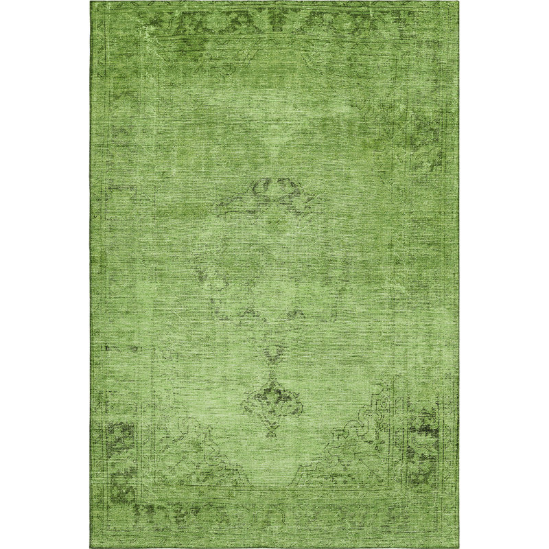 Premium Machine Washable Kiyondrea Aloe Rug, Rectangle 2'6" x 3'10"