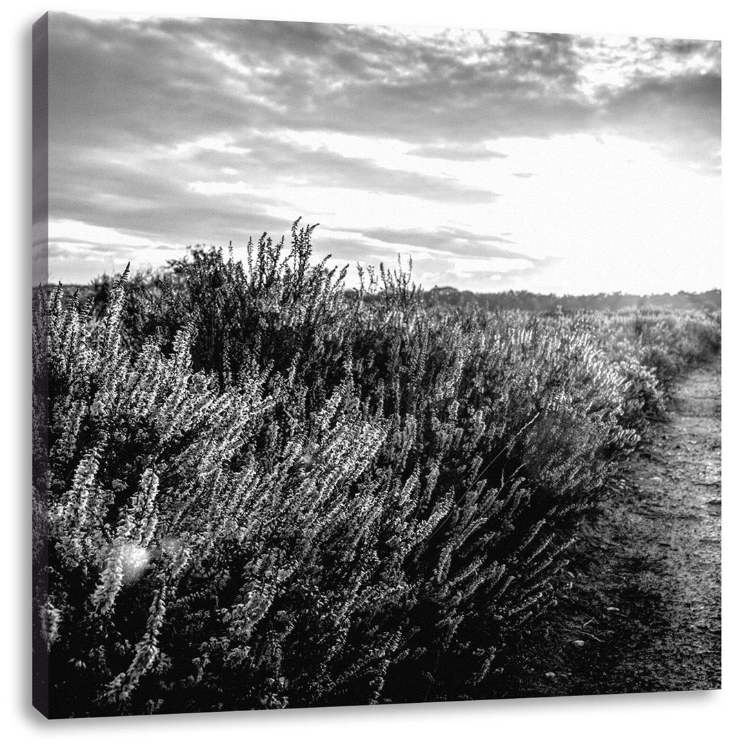 Leinwandbild Lavender Landscape at Sunset