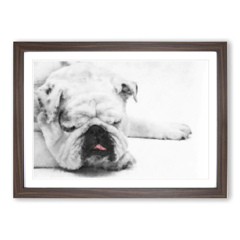 White British Bulldog Vol.2 Painting - Picture Frame Graphic Art, 27cm H x 36cm W x 2cm D, Walnut