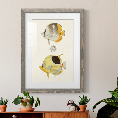 " Yellow And Gray Fish II " Painting Print