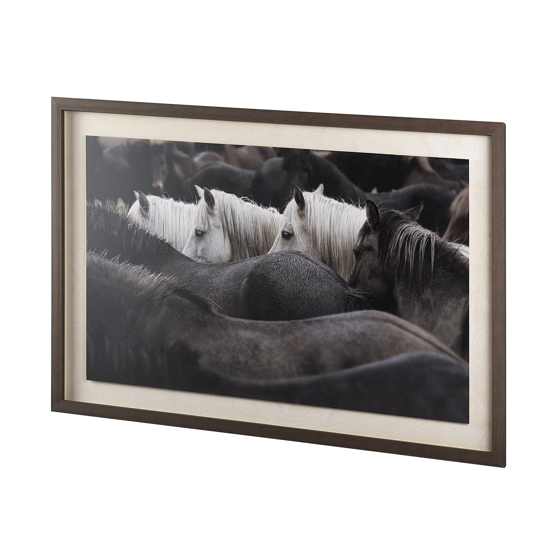 Foundry Select Custom White Horses Framed Print | Wayfair