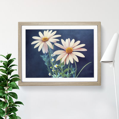 Beaming Daisy Flowers - Framed Print