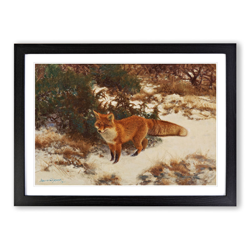 Fox in the Snow Vol.9 by Bruno Liljefors - Framed Print, 27cm H x 36cm W x 2cm D, Black Framed