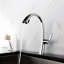 Belfry Kitchen Galilee Pull Out Kitchen Faucet