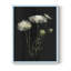 Impression encadrée Queens Lace I - bois massif-819600049-819600060