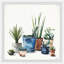 Reproduction d’art sur toile tendue « succulents galore »-50107136
