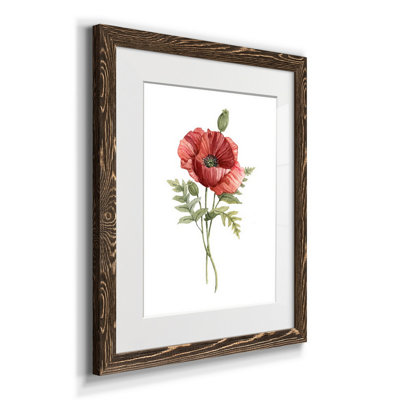 " Scarlet Poppy " Painting Print