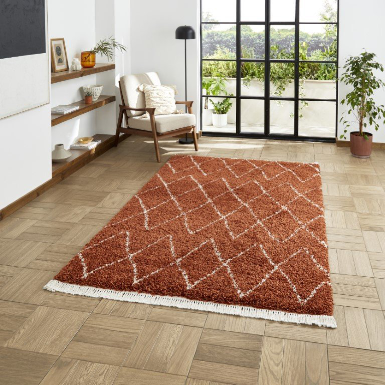 Archuleta area rug Machine Woven Rust, Rectangle 200 x 290cm