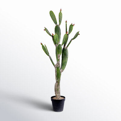 Faux Cactus Succulent in Pot