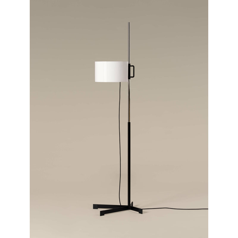 67.3" Floor Lamp