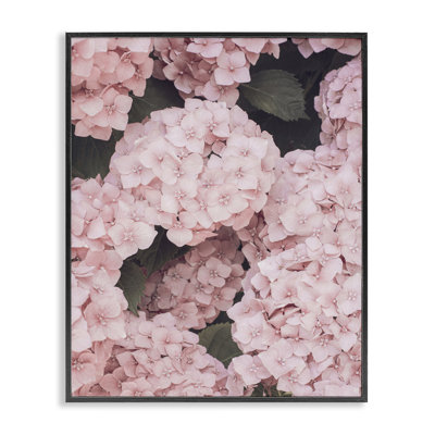 Hortensia rose en fleurs, estampe numérique par Sissi et Seb