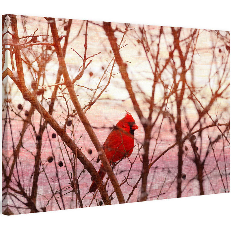 Parvez Taj - Wrapped Canvas Print, 61cm H x 91cm W