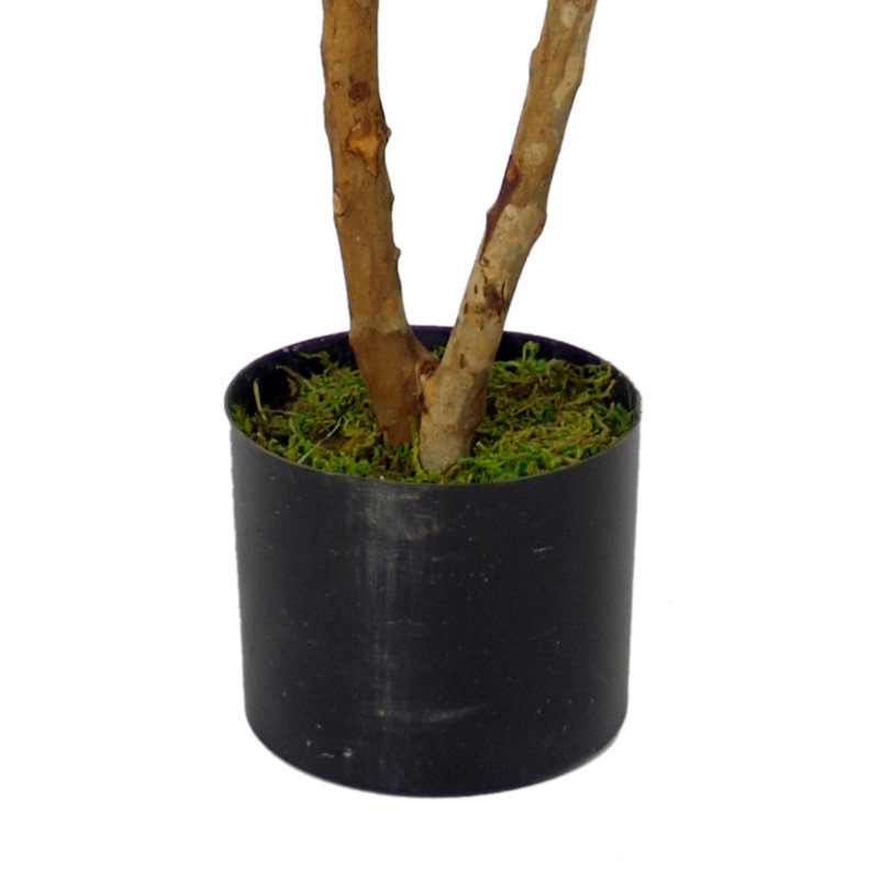 Anivea 100cm Faux Ruscus Tree in Pot