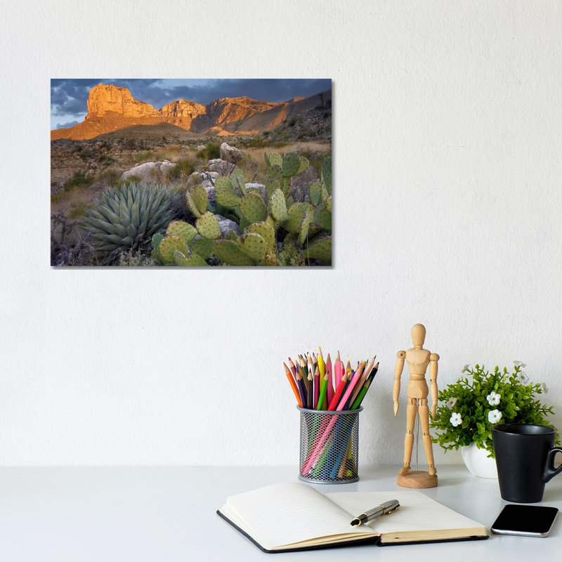 Opuntia Cactus And Agave Near El Capitan, Guadalupe Mountains National Park, Chihuahuan Desert, Texas by Tim Fitzharris - Wrapped Canvas Print