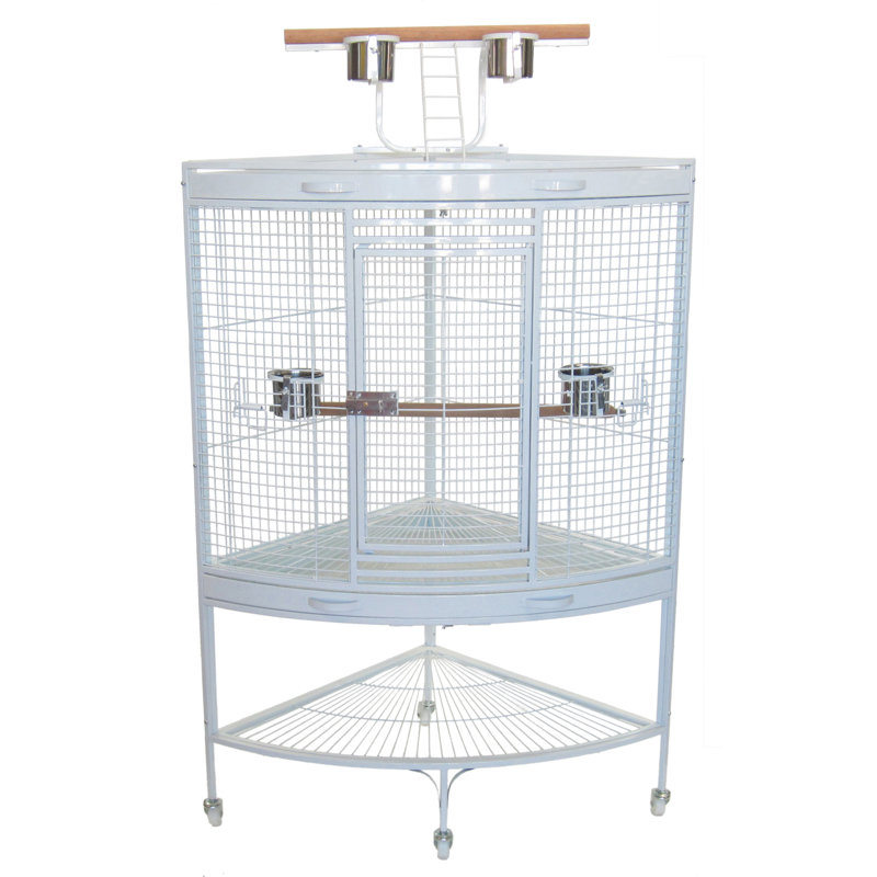 Cage à oiseau perroquet, Blanc