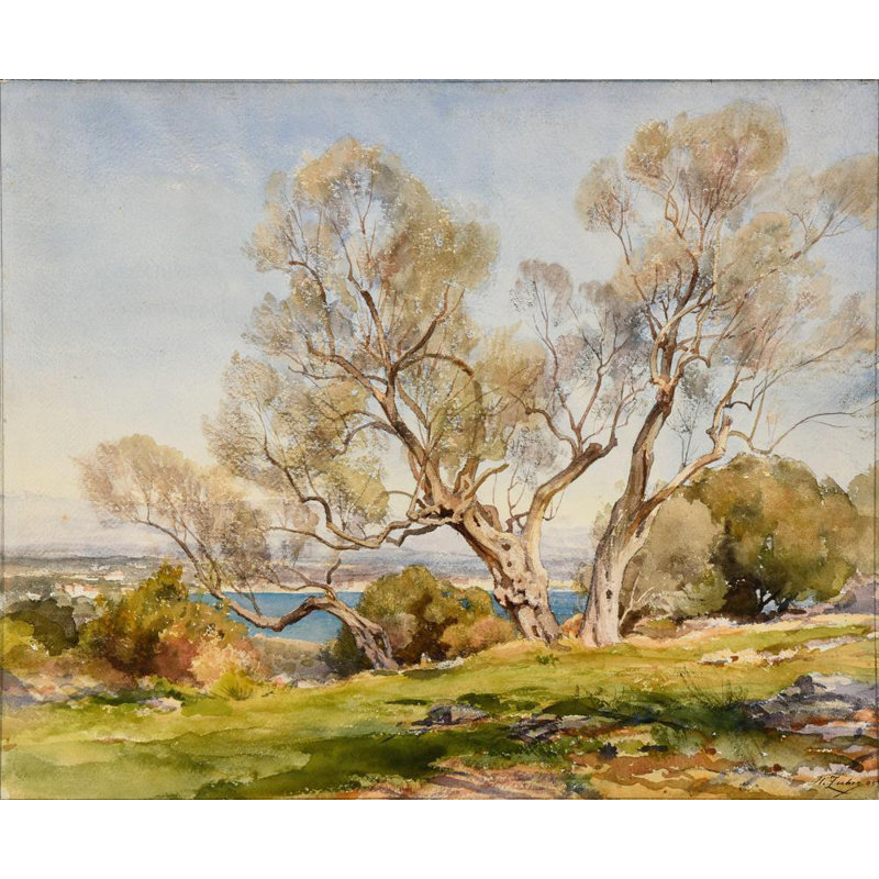 «Olive Trees. Cap D’Antibes» par Jean-Henri Zuber - Art mural sur toile tendue avec châssis, H 24 po x l 17 po