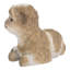 Baby Lamb Lying Down-50844492