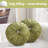 Velvet Round Decorative Pillow for Couch Decor 15-Inch (Set of 2)-102095943