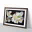 White Jasmine Flowers - Framed Print-55612720-55612722