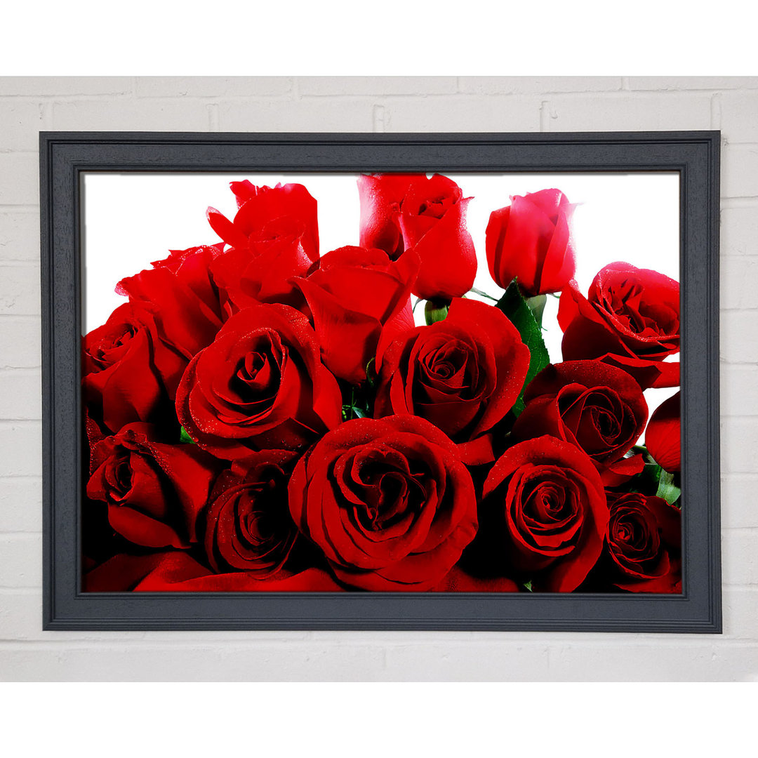 Bouquet of Red Roses - Einzelner Bilderrahmen Kunstdrucke