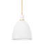 Copake 1 Light Pendant