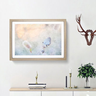 Tailed-Blue Butterfly - Picture Frame Painting Print