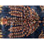 Tapis orange / bleu en laine noué à la main de conception unique 12 pi 3 po x 18 pi 2 po New Age