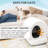 UBPET Pro Automatic, Self-Cleaning Litter Box with App & Camera for Multiple Cats