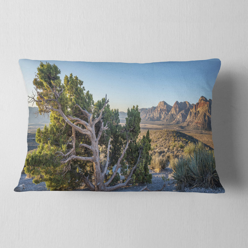 Coussin Schafer
